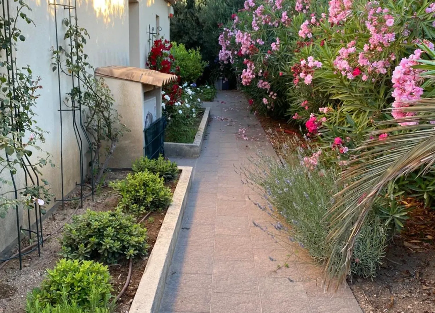 Villa Lavyn Grimaud