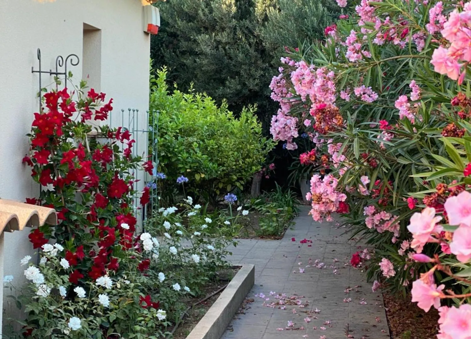 Villa Lavyn Grimaud 0*,  France