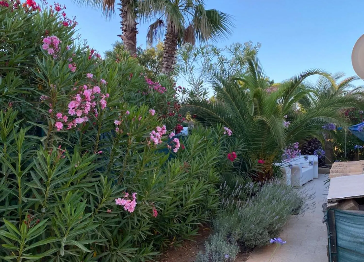 Villa Lavyn Grimaud Holiday home